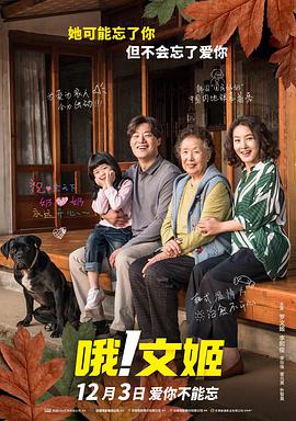 日韩午夜网